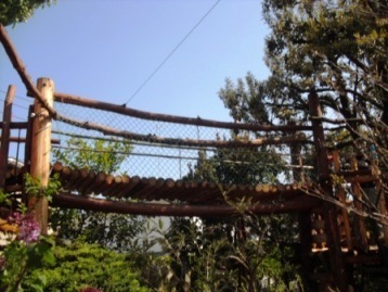 間伐材工事 未来っ子ｾﾝﾀｰ3 吊り橋